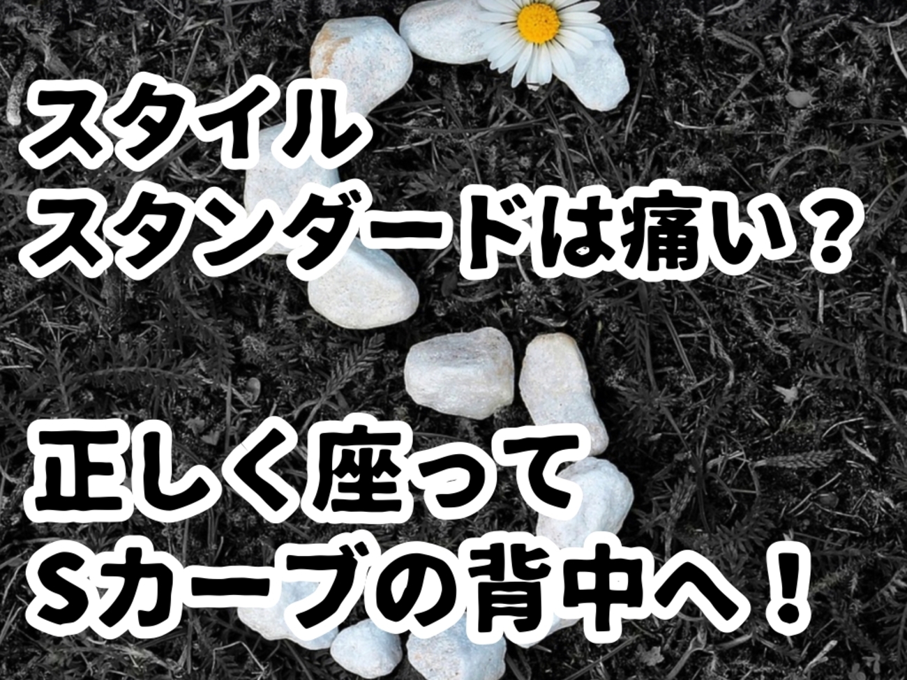 体験談】スタイルスタンダードは痛い？効果あり？種類別口コミ・選び方 