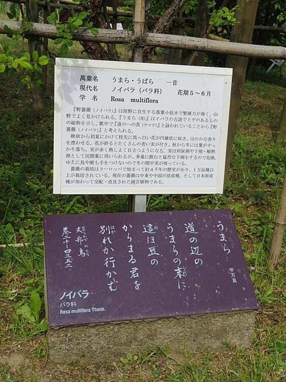 従七位とは 一般の人気 最新記事を集めました はてな