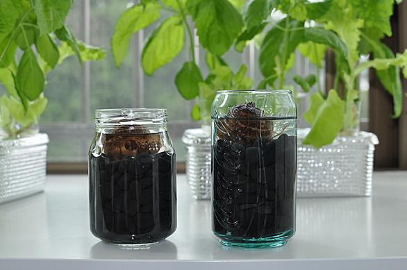 サトイモとは 動植物の人気 最新記事を集めました はてな