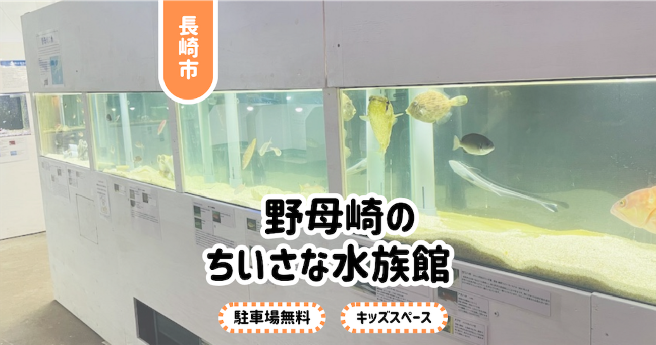 のもざきの小さな水族館】2025年NEW Open。木のおもちゃも楽しい 