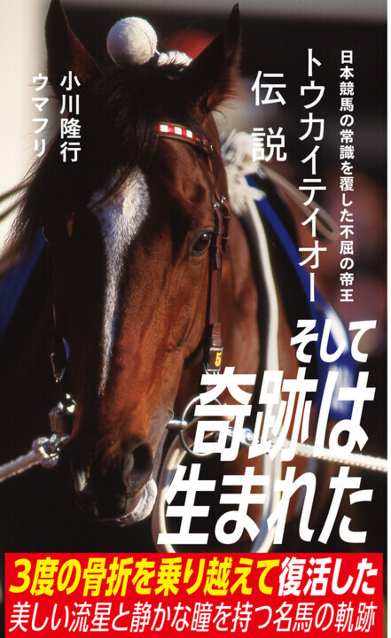 単勝馬券世紀末覇王 阪神大賞典 宝塚… テイエムオペラオー ゲーム 