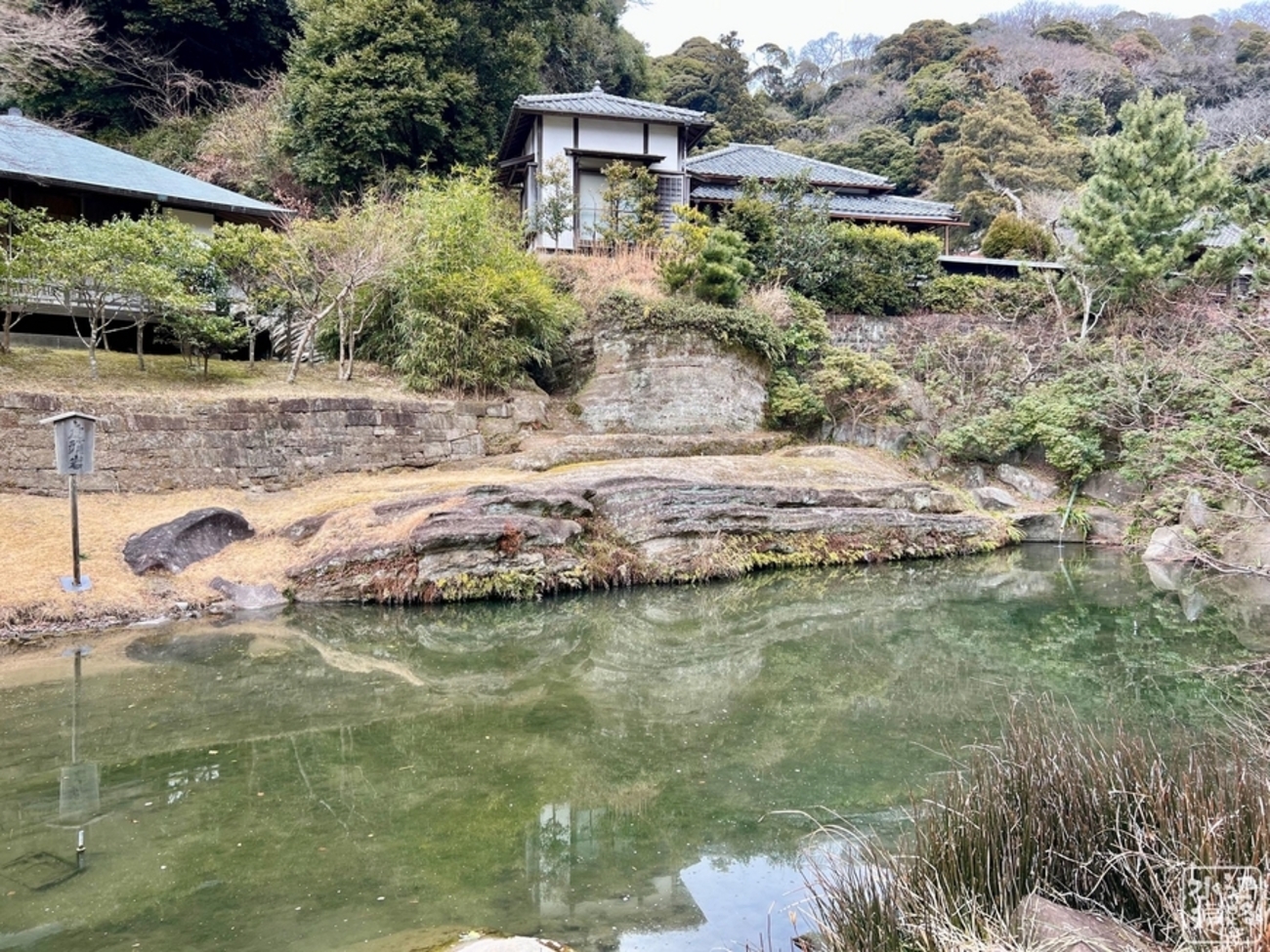 圓覚寺 妙香池（神奈川県鎌倉） - 水辺遍路