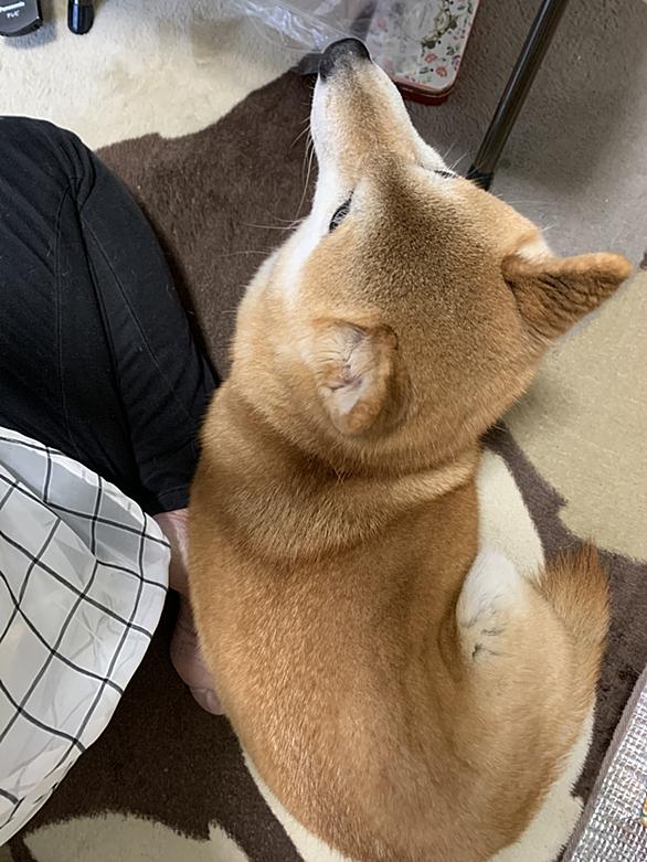 普通の女の子に戻りたいとは アイドルの人気 最新記事を集めました はてな 普通の女の子に戻りたいとは アイドルの人気 最新記事を集めました はてな