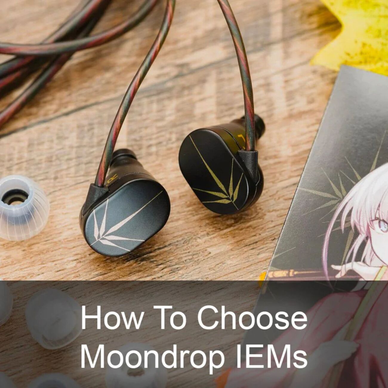moondrop「春を待つ」「花」廃盤デモ音源 セット 水月雨 (MOONDROP) 【中古】Kadenz【秋葉原】 – e☆イヤホン