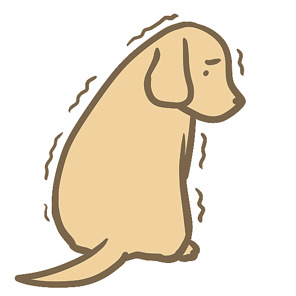 負け犬box