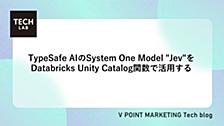TypeSafe AIのSystem One Model "Jev"をDatabricks Unity Catalog関数で活用する