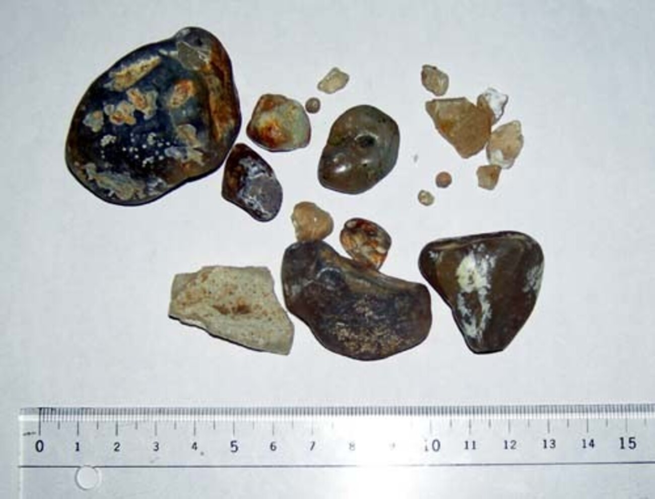 瑪瑙色の地層観察 - 戸隠地質化石博物館の日記