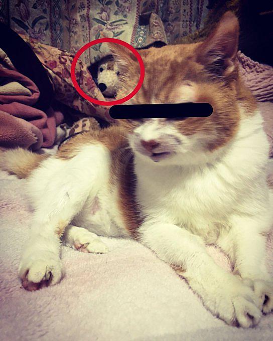 心霊写真とは 一般の人気 最新記事を集めました はてな 心霊写真とは 一般の人気 最新記事を集めました はてな