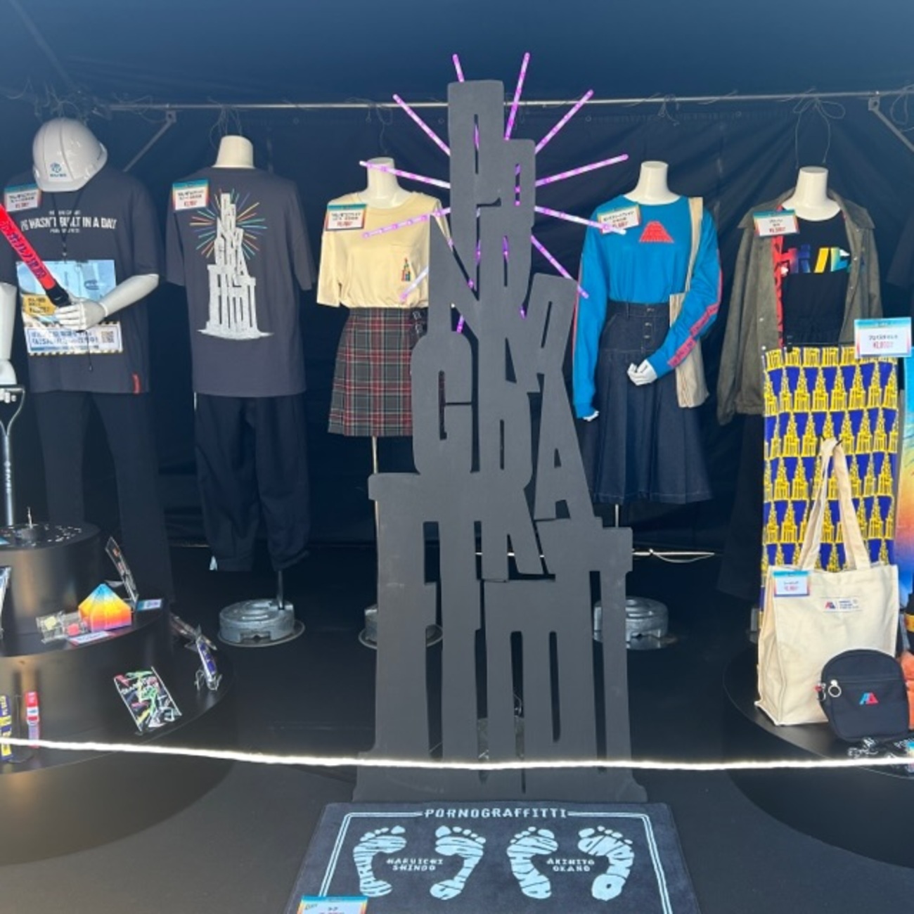 ポルノグラフィティ 19thライヴサーキット “PG wasn