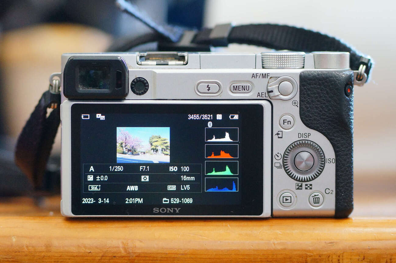 SONY α6400 ILCE-6400】クリエイティブスタイル検証 - カメコ二郎