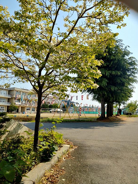 大漁旗とは 一般の人気 最新記事を集めました はてな 大漁旗とは 一般の人気 最新記事を集めました はてな