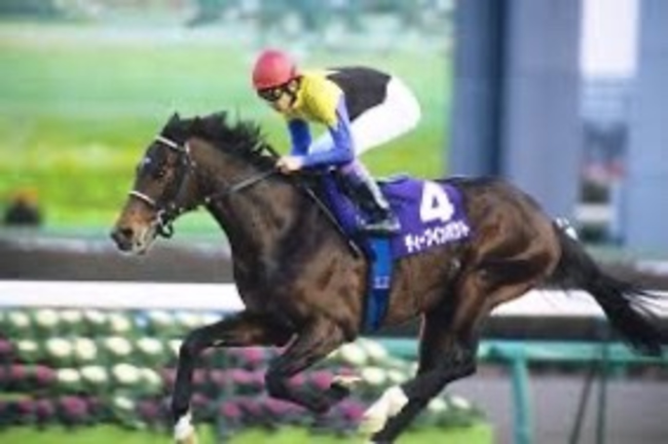 ディープインパクト｜日本競馬の伝説的名馬 - 特定看護師が教える 