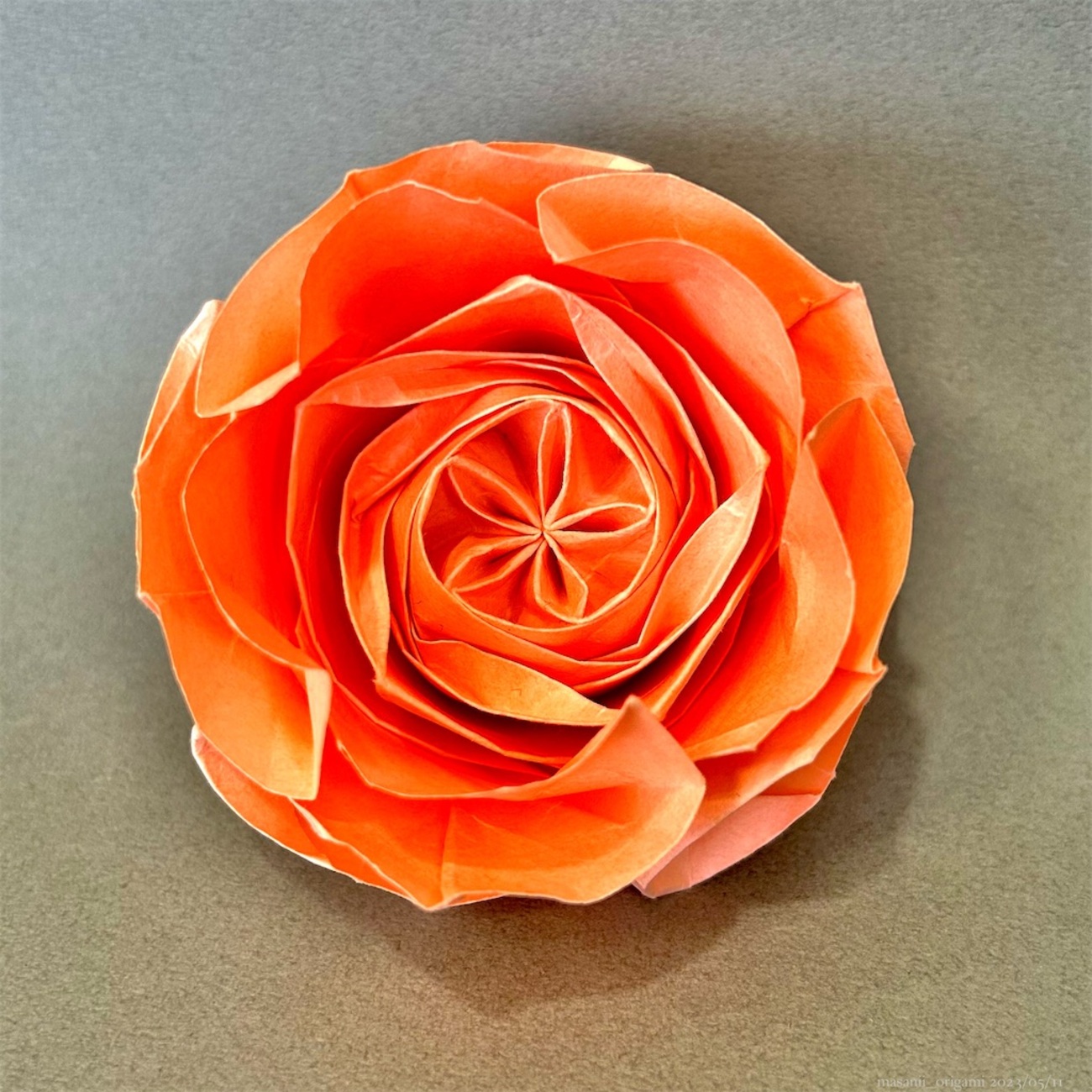 backend=imagemagick;version=1;