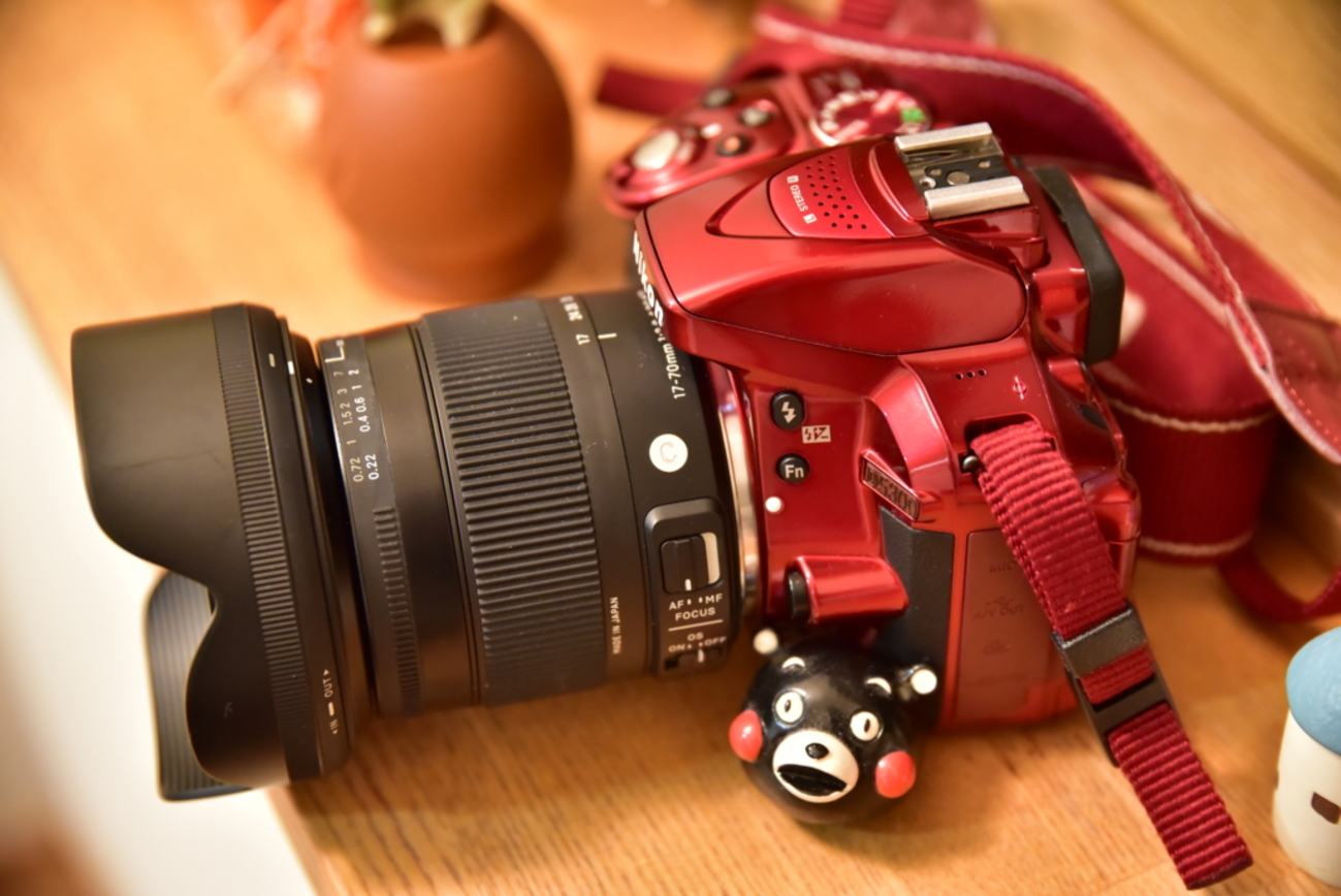 Nikon D5300 Sigma 17-70mm レンズ付き カメラ