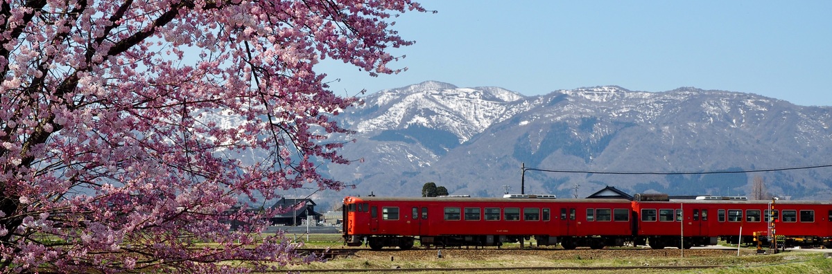 旅の途中