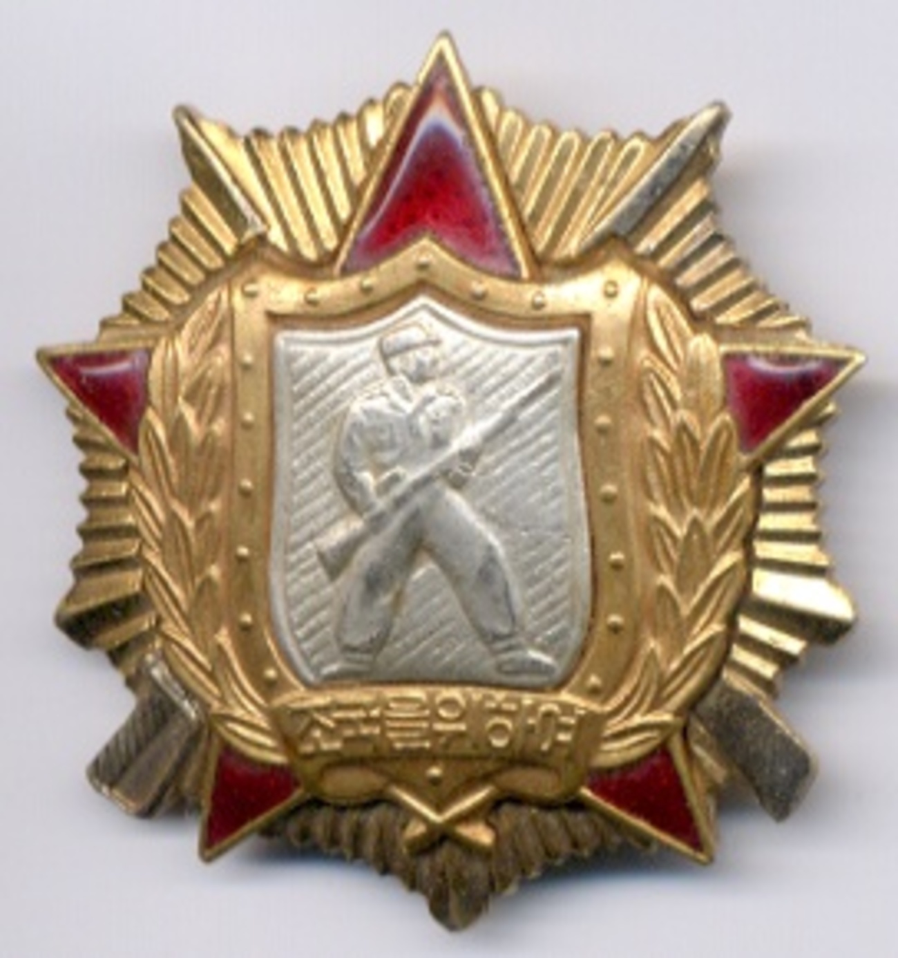約100年前 中国 蒋介石 北伐／勲章 メダル バッジ ミリタリー 軍隊 