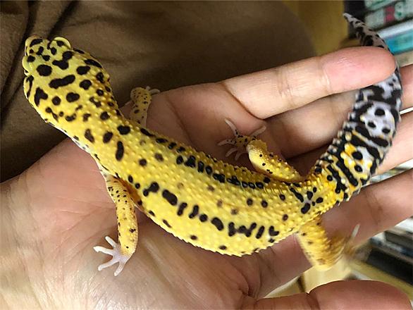 Tb7kjqfykfqitm Tb7kjqfykfqitm