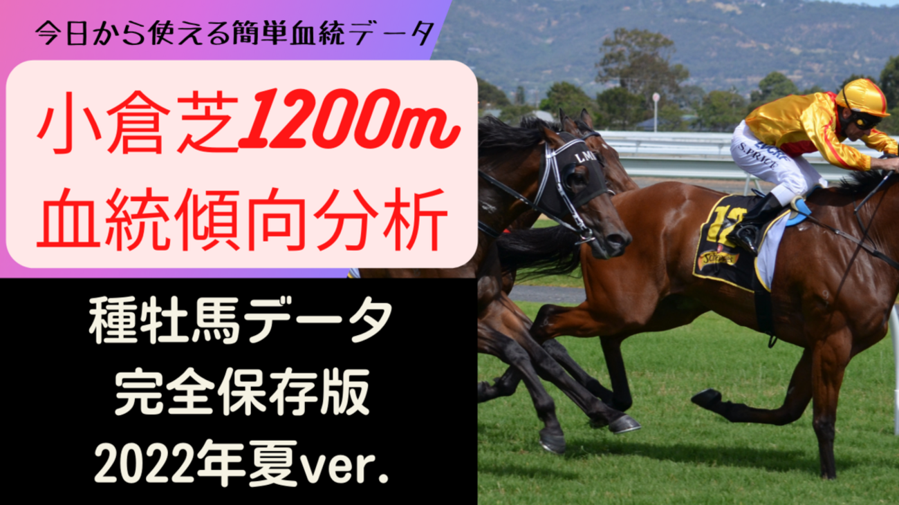馬龍5 最終値下げ！ 8月中旬に元の値段戻します