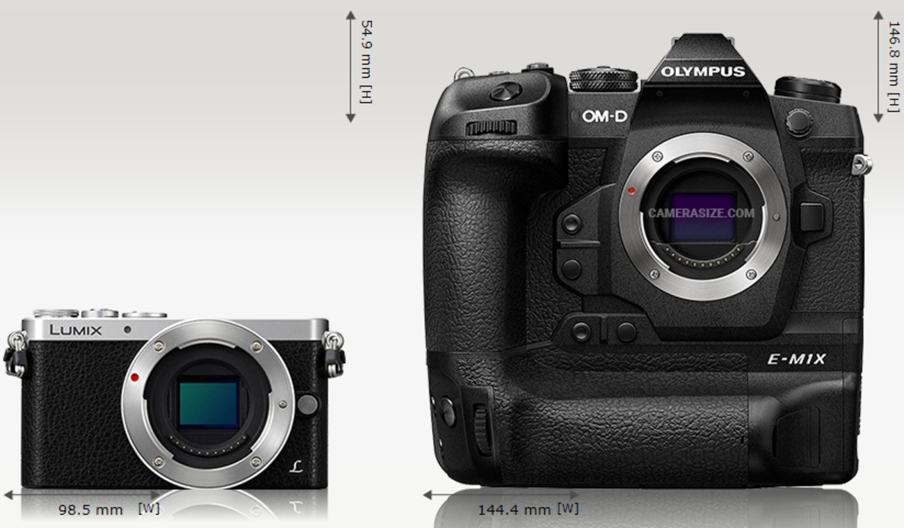 LUMIX DMC-GM1の代替となる小型のミラーレス一眼が欲しい。OLYMPUS OM 