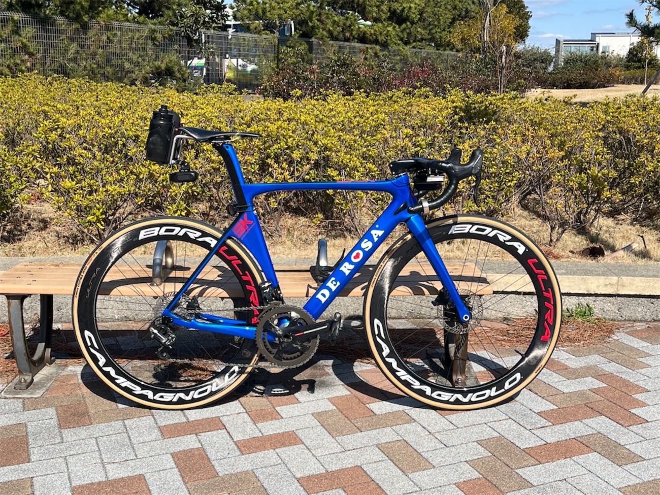 今日はショートライド 51km。その後IKEA - 甘く香るか青いバラ