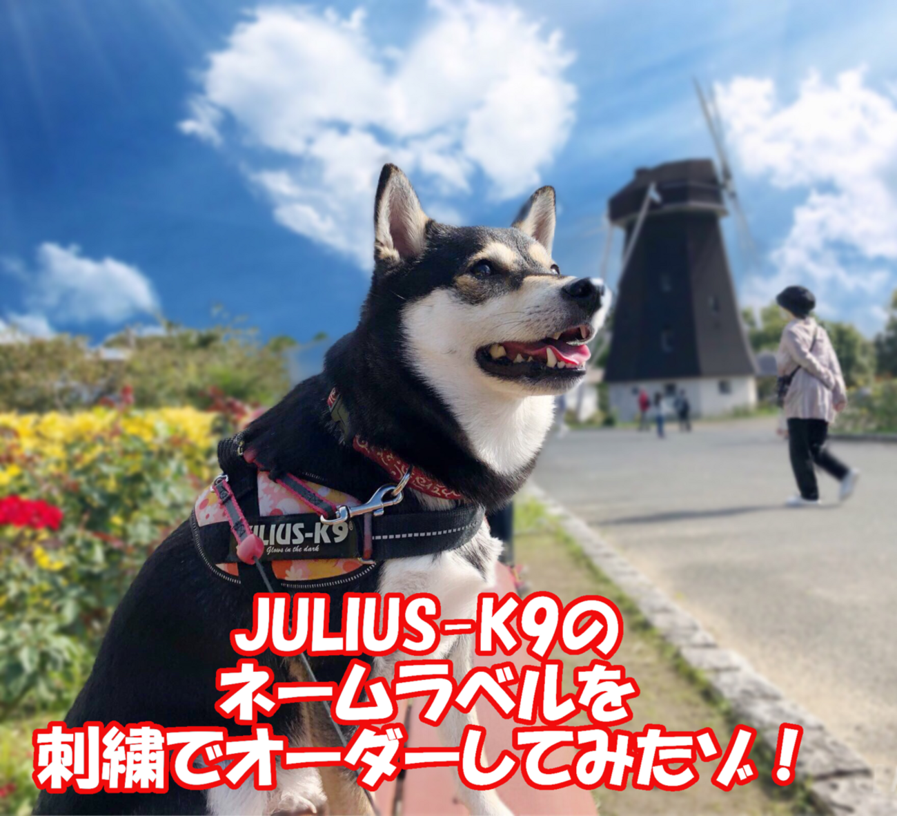 名入れ】ユリウスK9のネームラベルを刺繍でオーダーしてみたゾ 