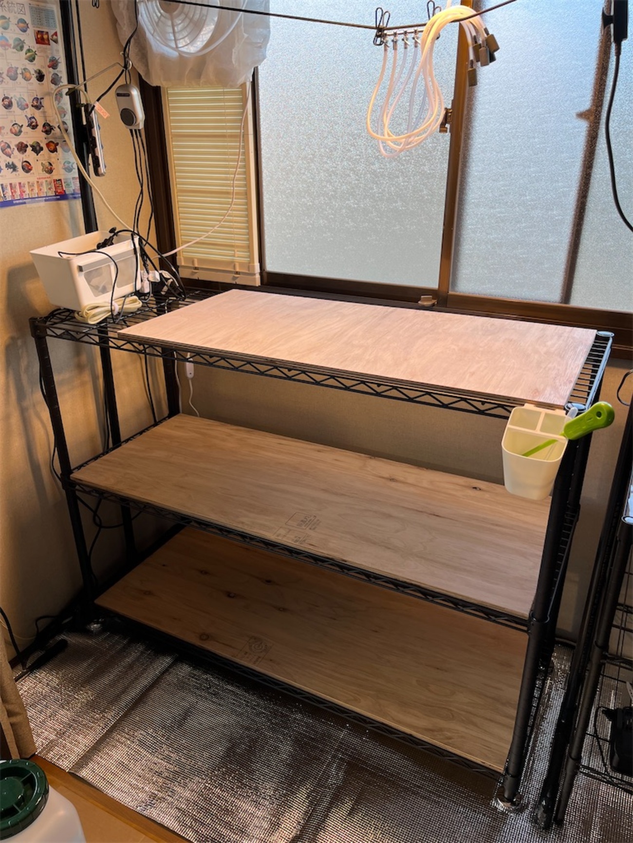 あなたのメダカラックは大丈夫？メダカ用スチールラックを補強します 