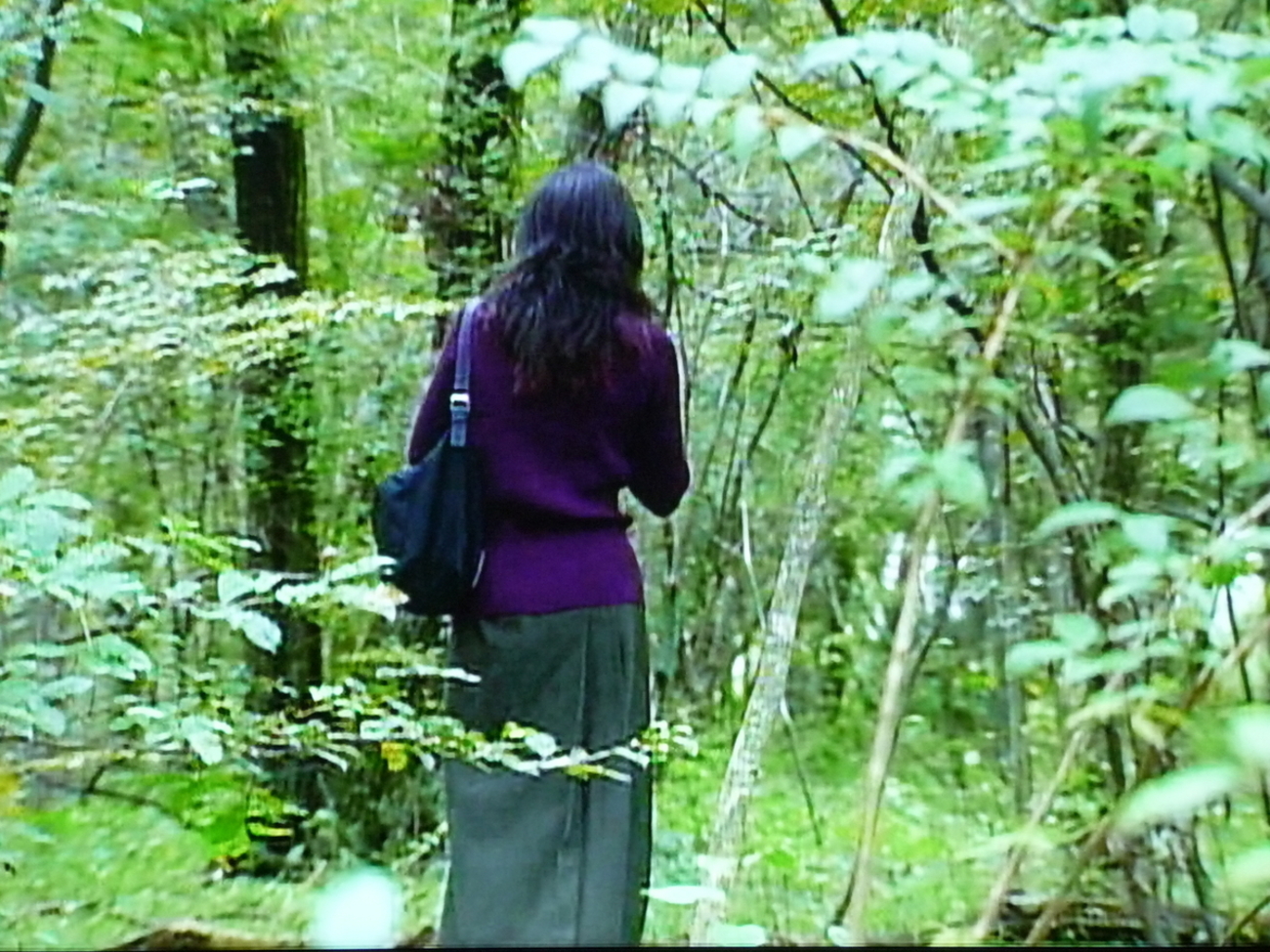 1998】ドラマ「眠れる森」の記憶 - ささやかな日常の記録