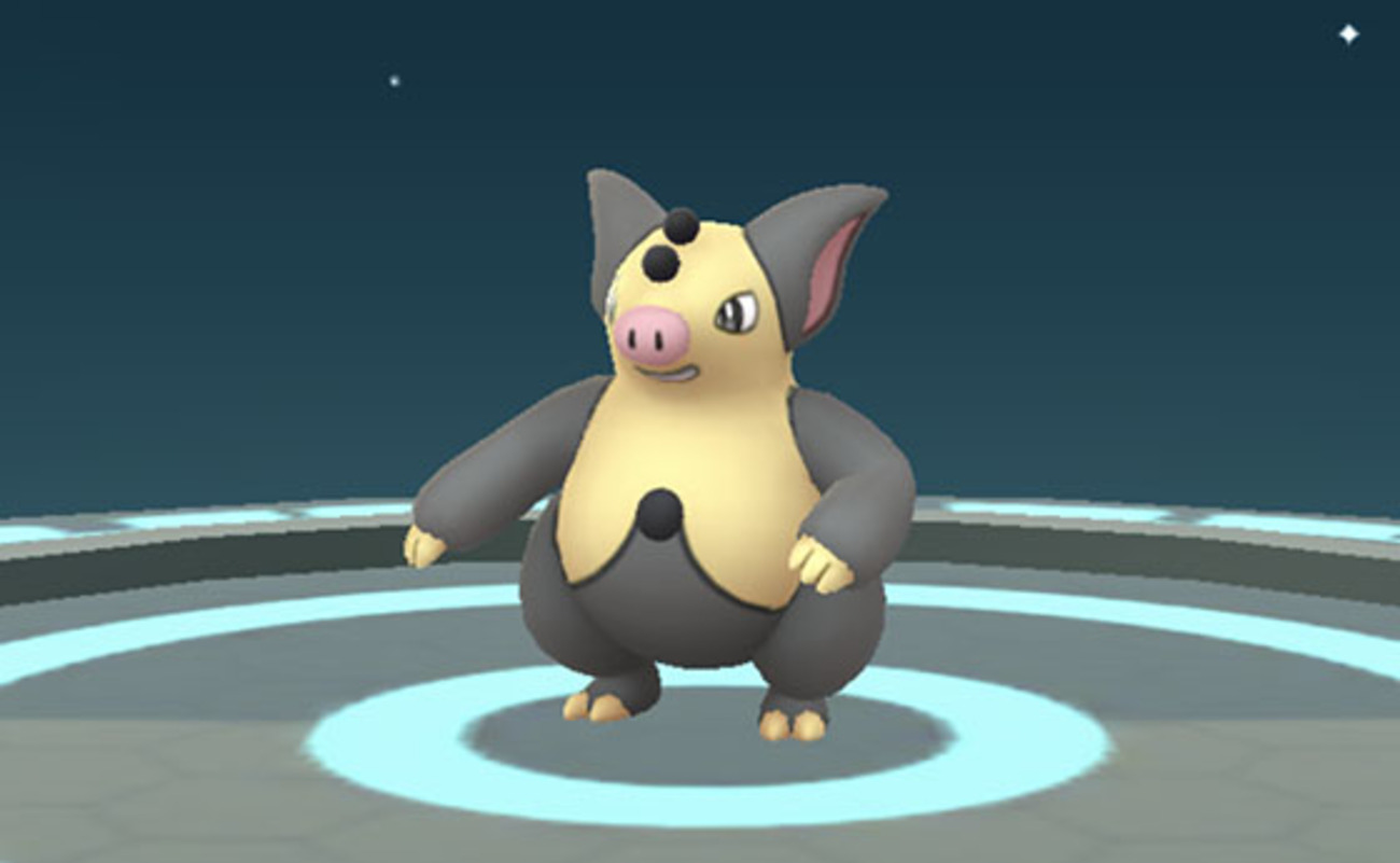 色違いのバネブーをブーピッグへ進化！ - pokemon go get!