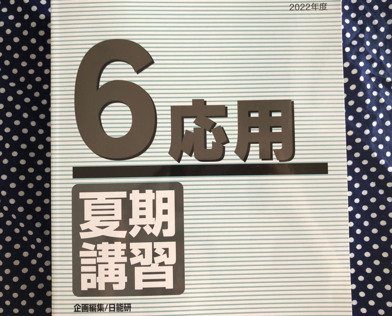 日能研】夏期講習（6年生・応用）の内容 - ちゅりぷ子のもしかして中高 