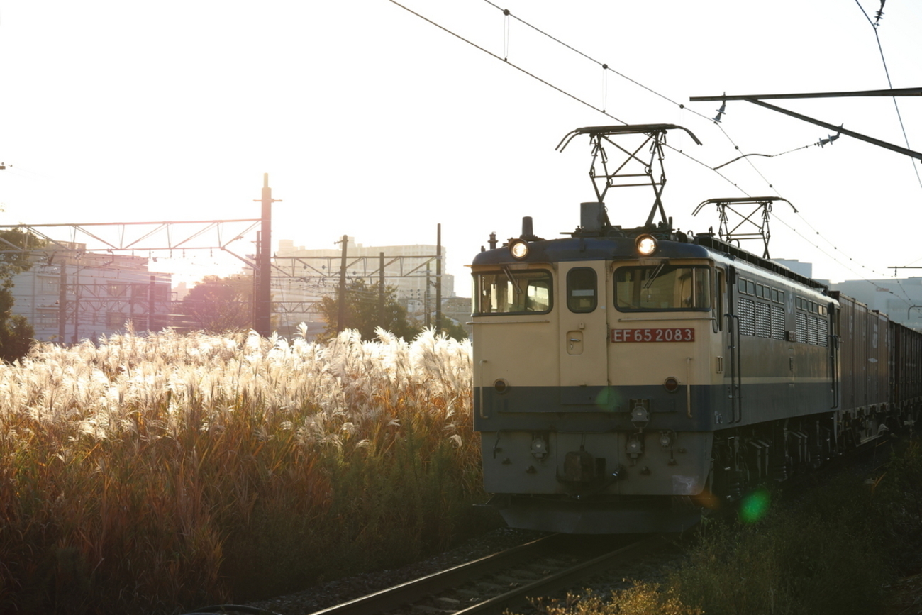 さよならエア急裏の日常貨物撮影 貨物列車撮影 11/24,25 - 川崎鶴見鉄道録