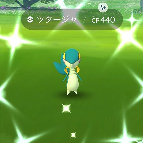 ツタージャとは ゲームの人気 最新記事を集めました はてな ツタージャとは ゲームの人気 最新記事を集めました はてな