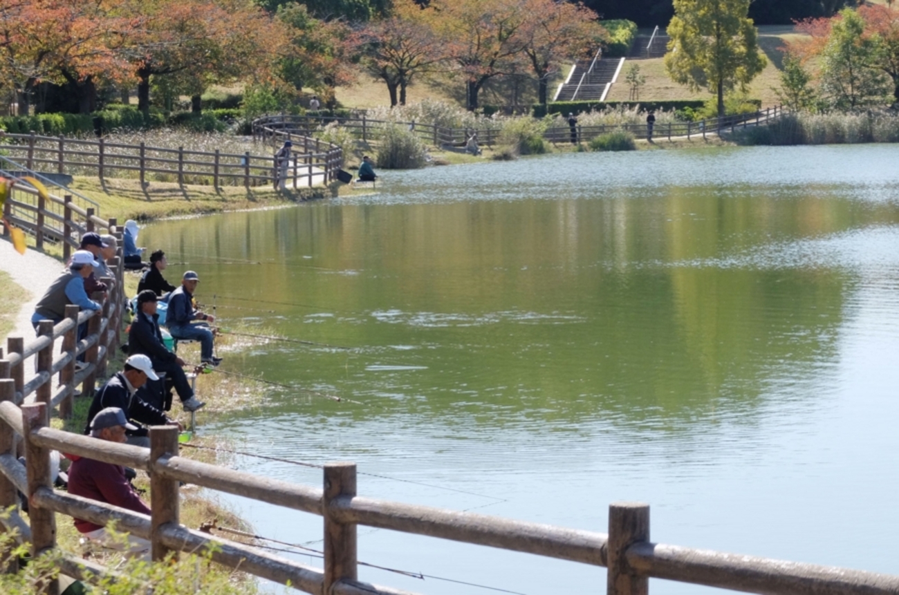 新海 池 公園