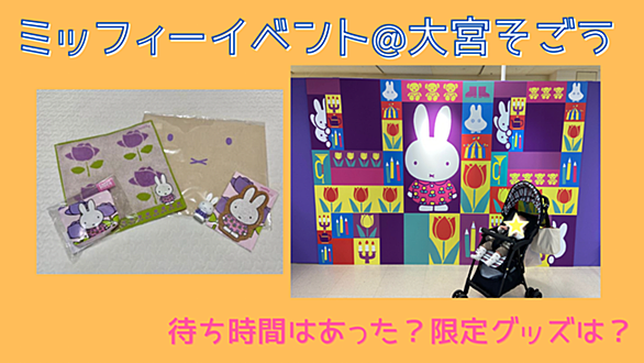 限定グッズとは 一般の人気 最新記事を集めました はてな