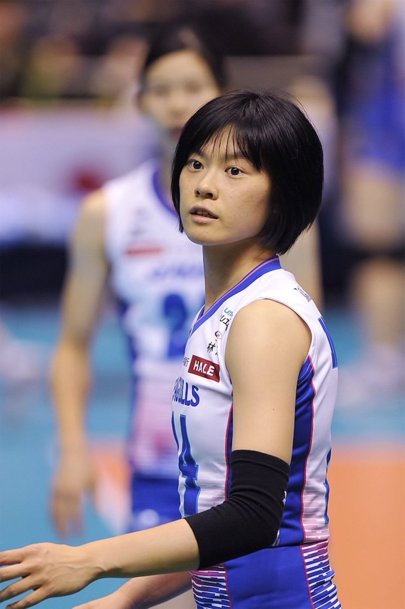 女子バレーボール】岡山シーガルズ 宮下遥がかわいい - 美人さん応援 