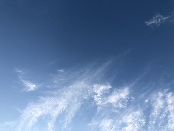 ビタミンcとは サイエンスの人気 最新記事を集めました はてな
