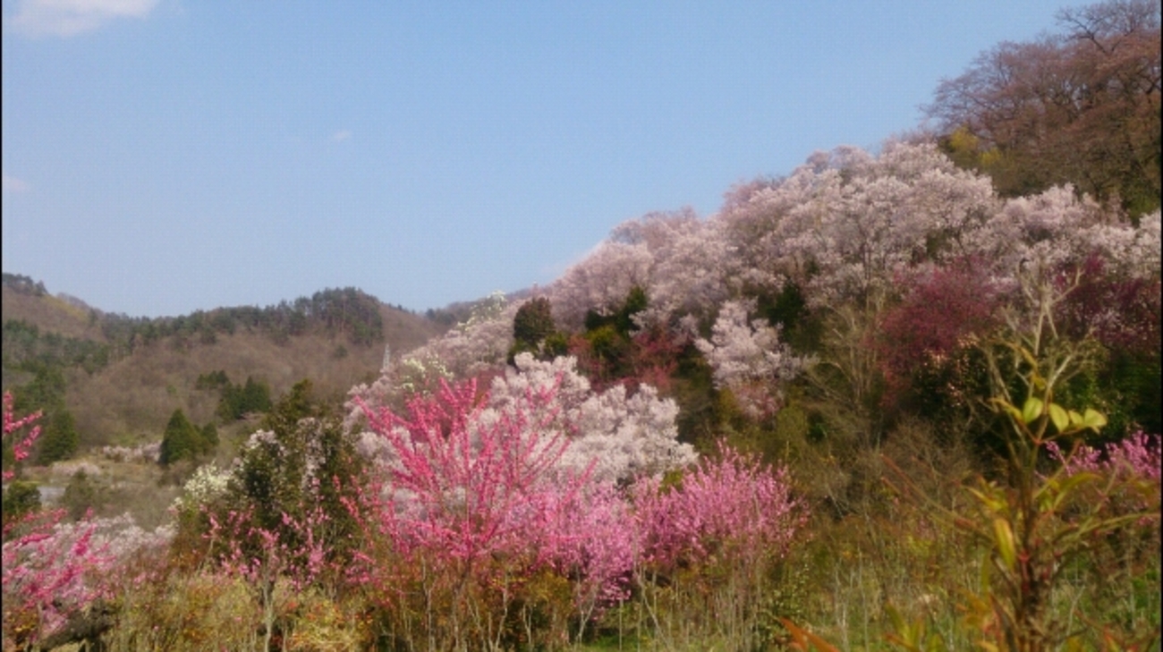 福島市 ちょこっと観光✨