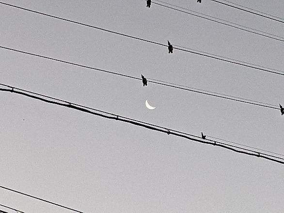 たらいまわしとは 一般の人気 最新記事を集めました はてな