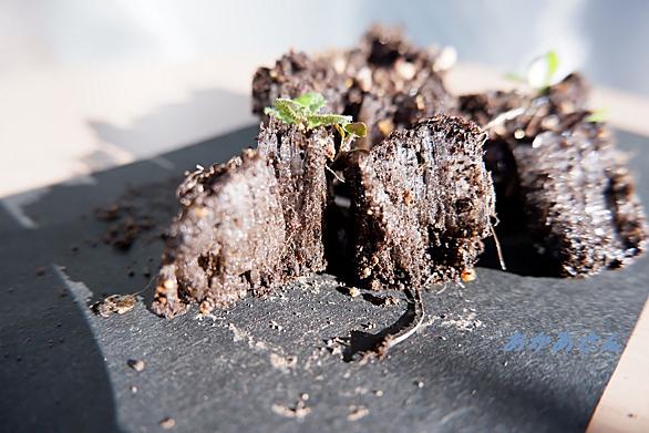 霜柱とは 一般の人気 最新記事を集めました はてな