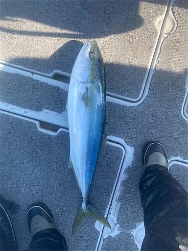 落とし込み釣りとは 人気 最新記事を集めました はてな