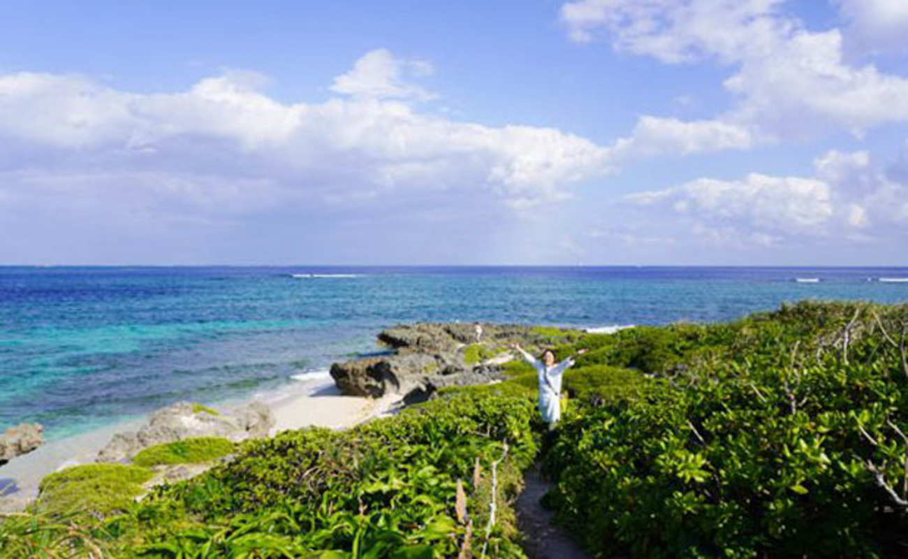 大幅】沖縄久高島のシーサー【値下げ】 2025年最新】久高島の人気