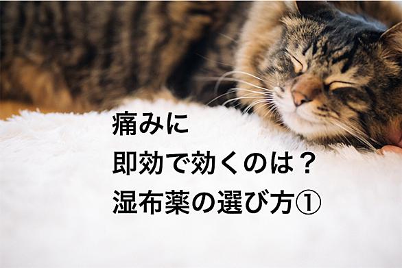8zgoegd08njrjm