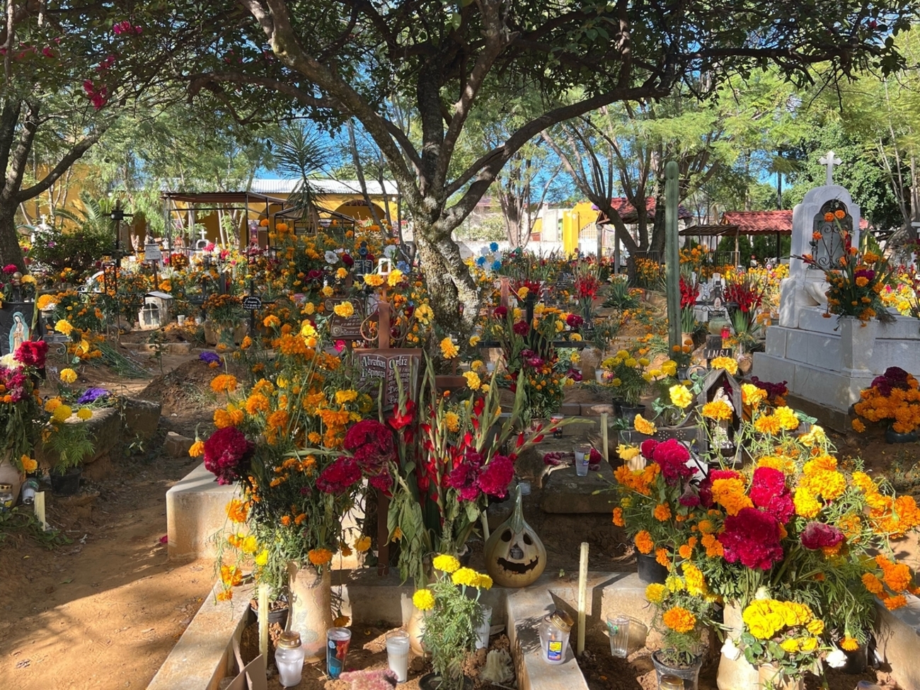 死者の日2023 en メキシコ② 〜 オアハカ1日目 - meiguiyouxiangのひとり旅