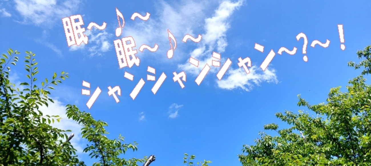 6月17日京都セミ初鳴き～！⛓️‍💥おにやんま救出、猛暑の梅雨2025会社も昆虫異変、我が家も琉金大事件・・・！ - いげのやま美化クラブ(kyoto　Japan）