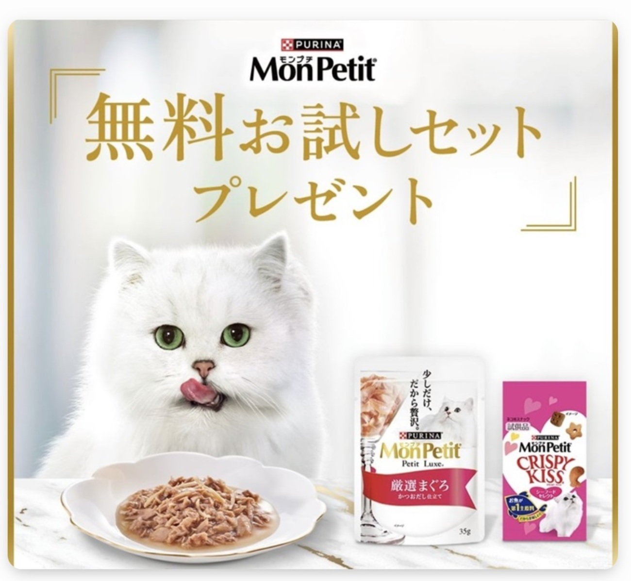 モンプチ☆猫ちゃんご飯セット^_^☆ モンプチ初🥫公式ファンブックの付録は本物そっくりの収納