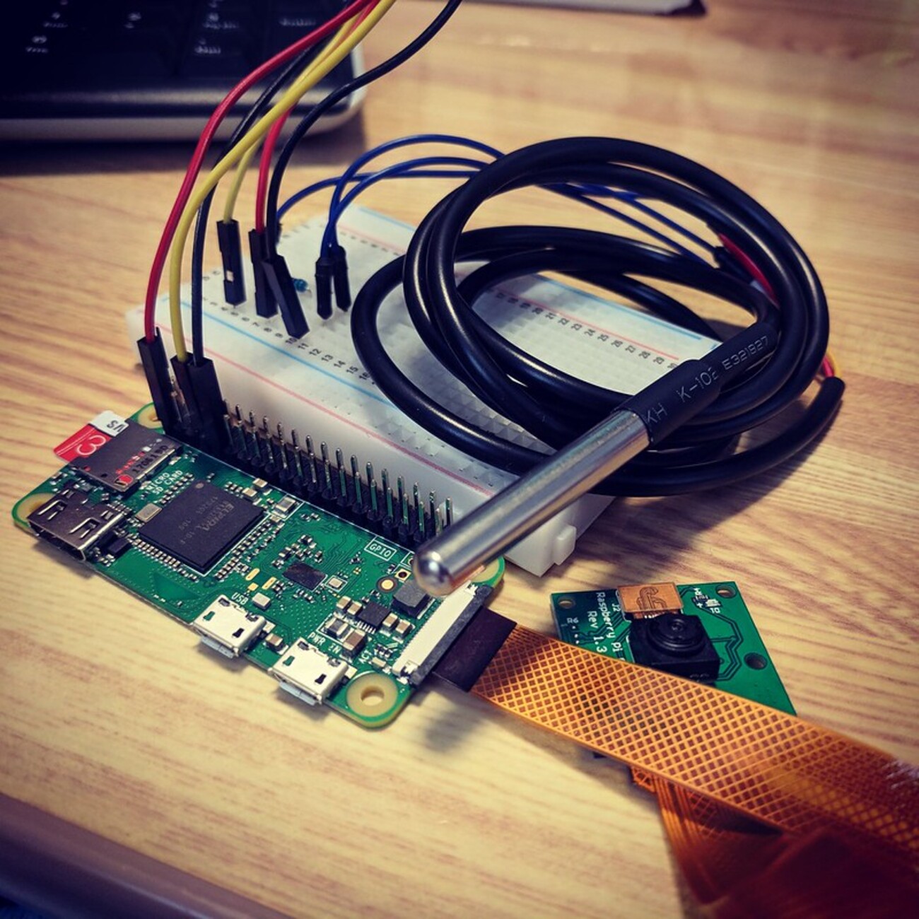 Raspberry Piで水温を取得する。(DS18B20) - たねやつの木