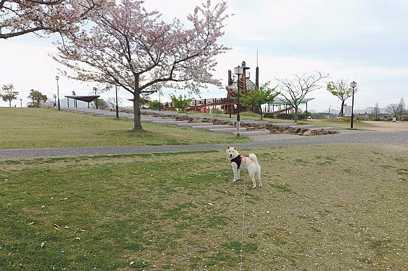 浦安総合公園とは 地理の人気 最新記事を集めました はてな 浦安総合公園とは 地理の人気 最新記事を集めました はてな