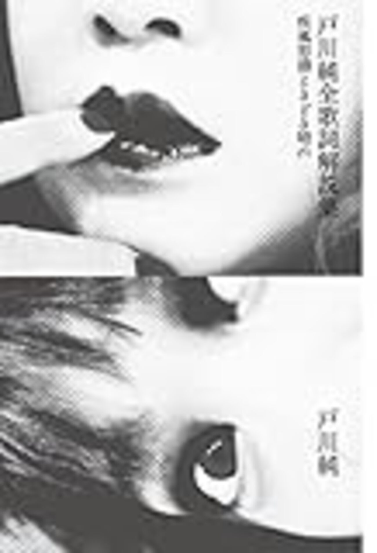 戸川純全歌詞解説集 疾風怒濤ときどき晴れ』を読みました - 新々