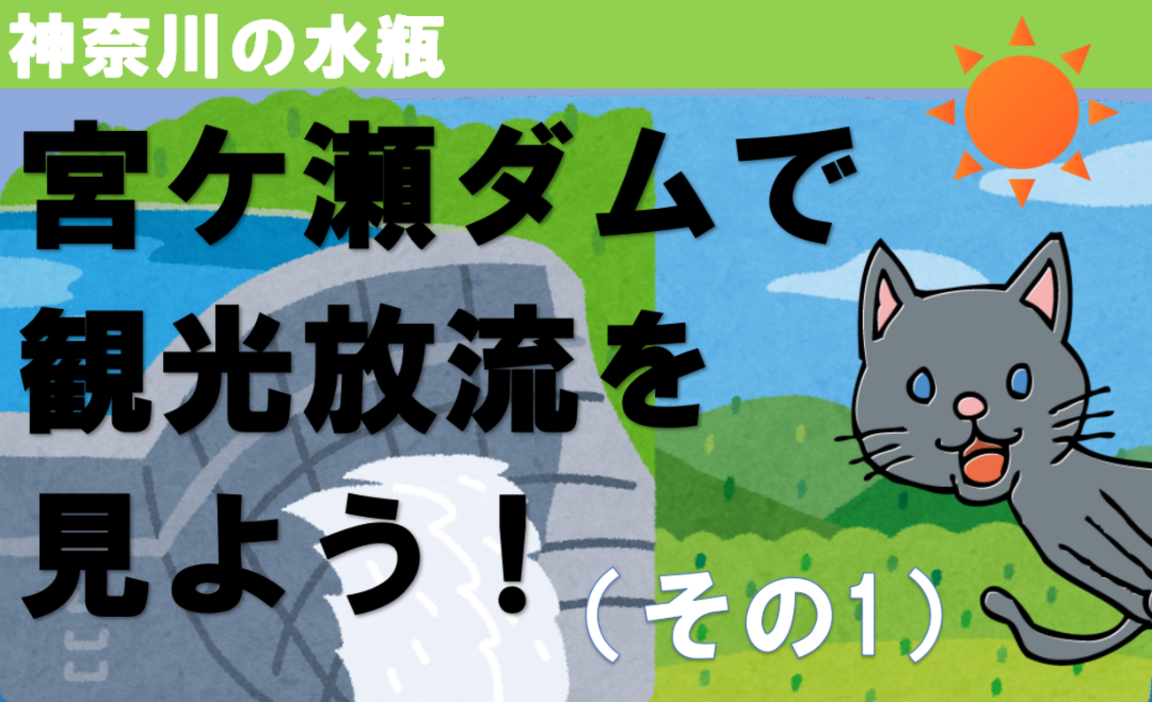 神奈川の水瓶・宮ケ瀬ダムで観光放流を見よう！（2-1） - KITの