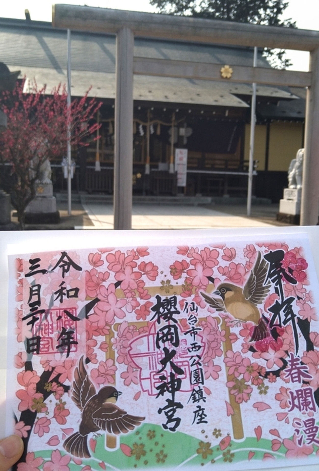 仙台神社巡り】2026 櫻岡大神宮「お花見限定御朱印」「花詣 記念挟み紙 
