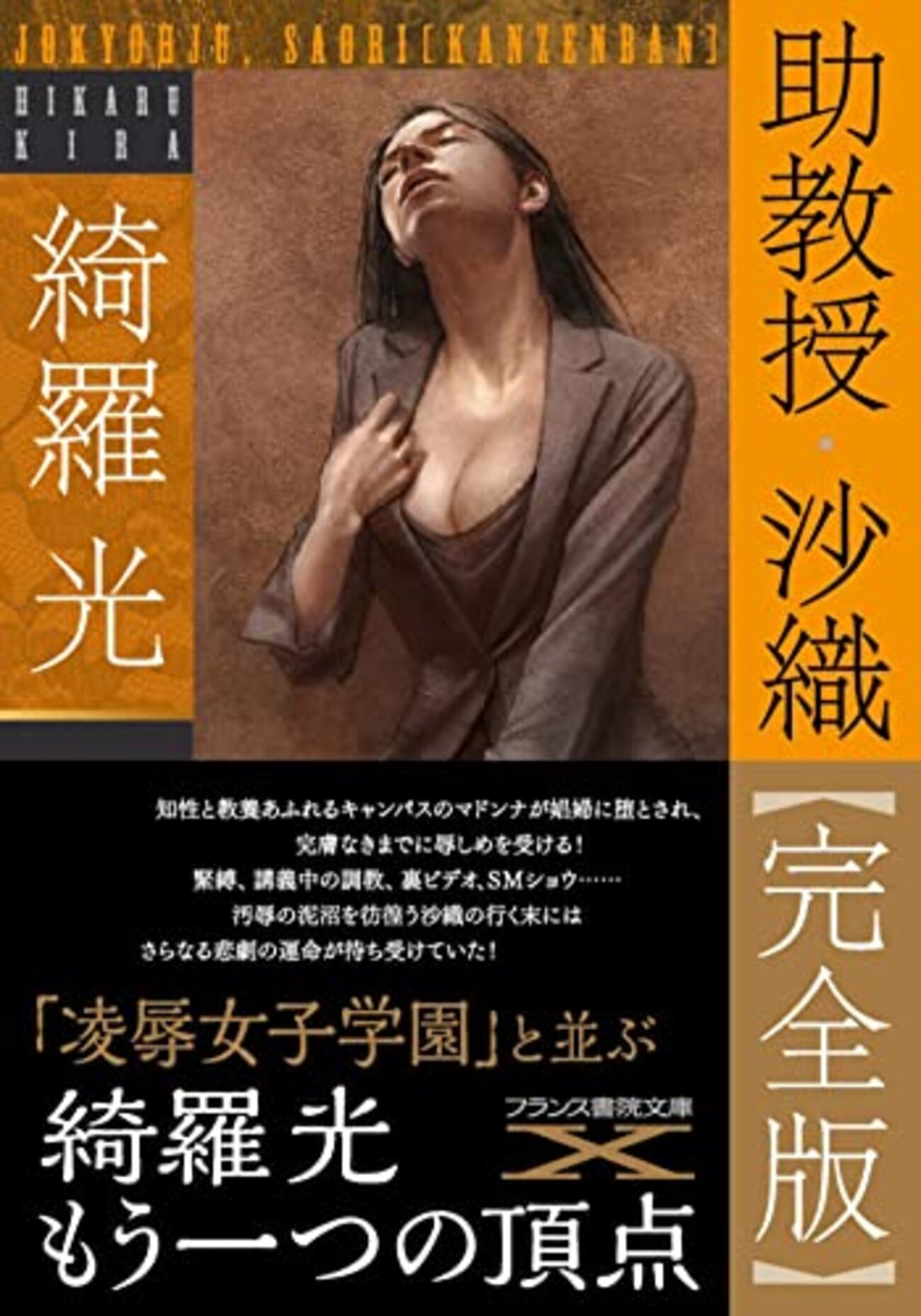 アダルト】助教授・沙織【完全版】：最強作家の頂点として文句なし 